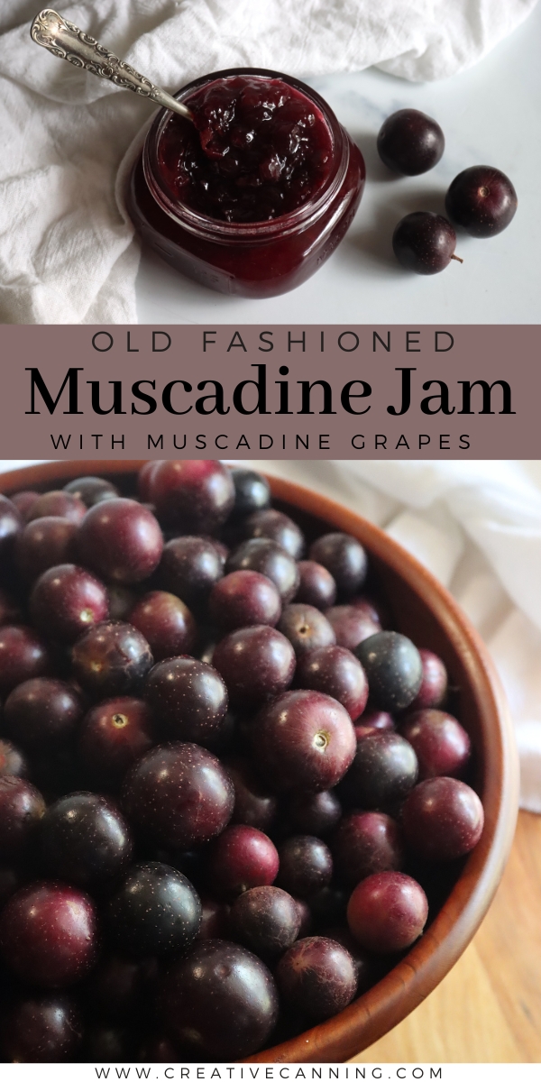 Old Fashioned Muscadine Jam