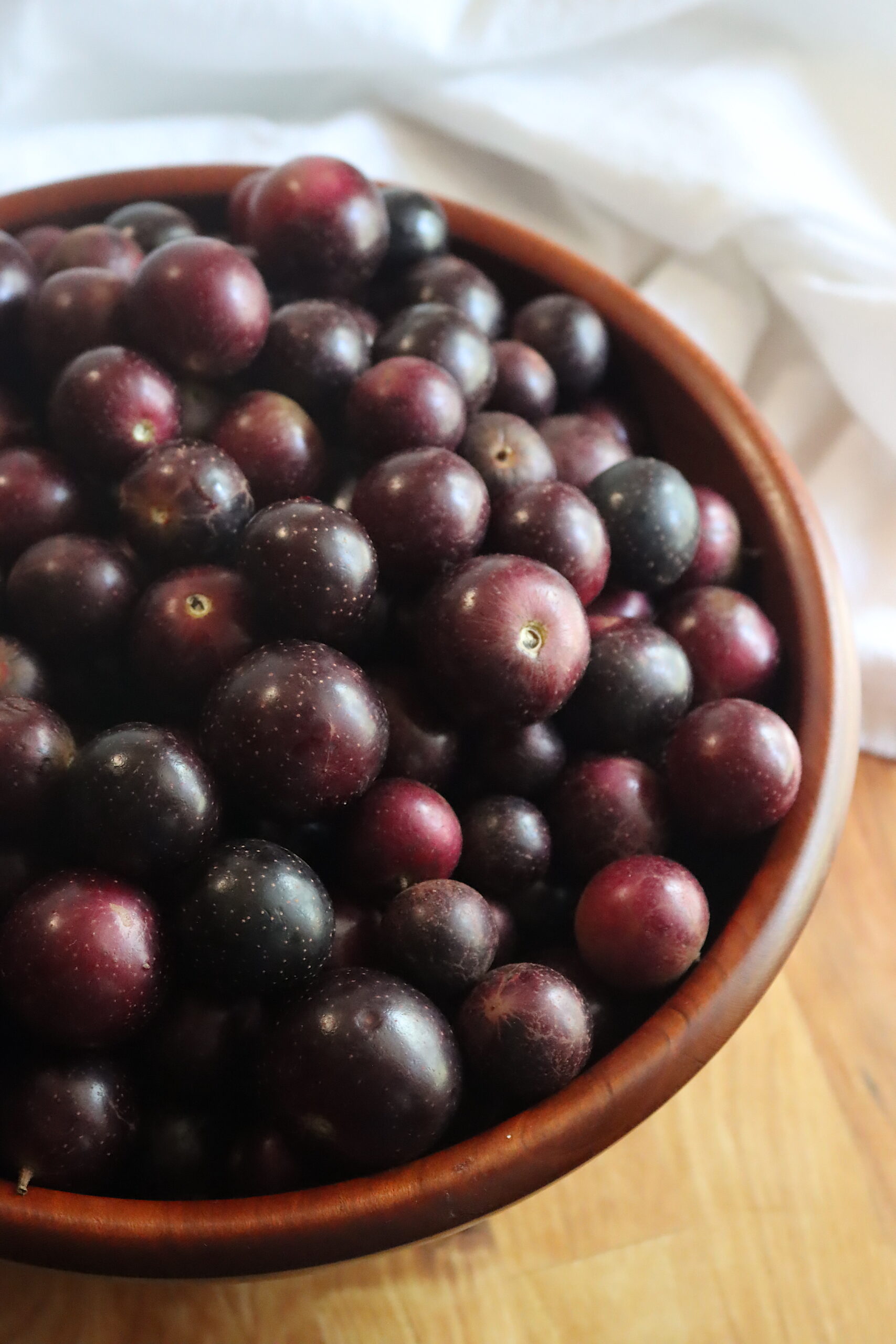 Red Muscadines