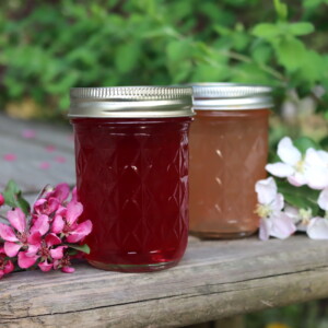 Apple Blossom Jelly