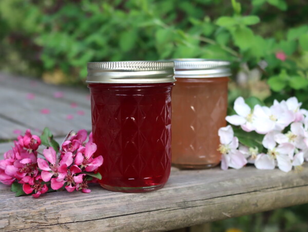 Apple Blossom Jelly