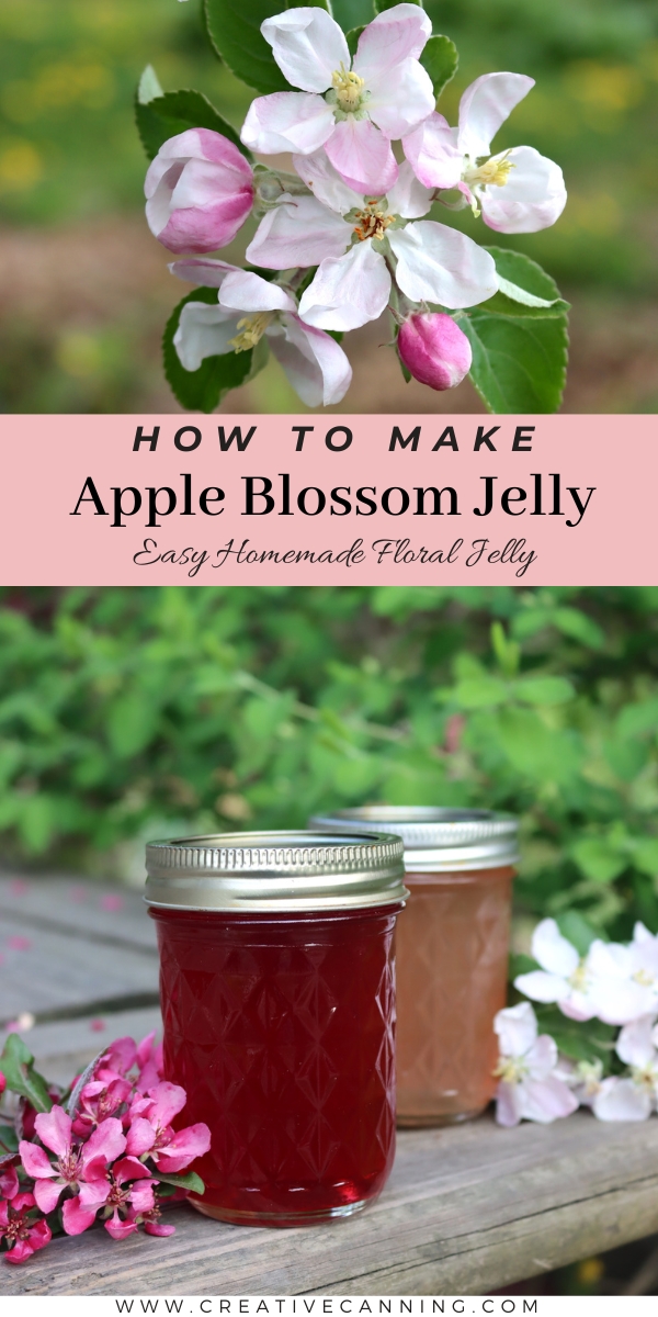 Apple Blossom Jelly Recipe
