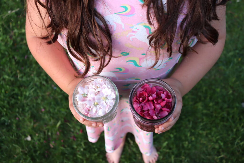 Apple flower jelly harvest