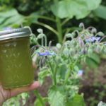 Borage Jelly