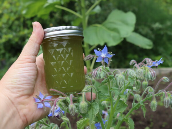 Borage Jelly