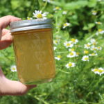 Chamomile Jelly