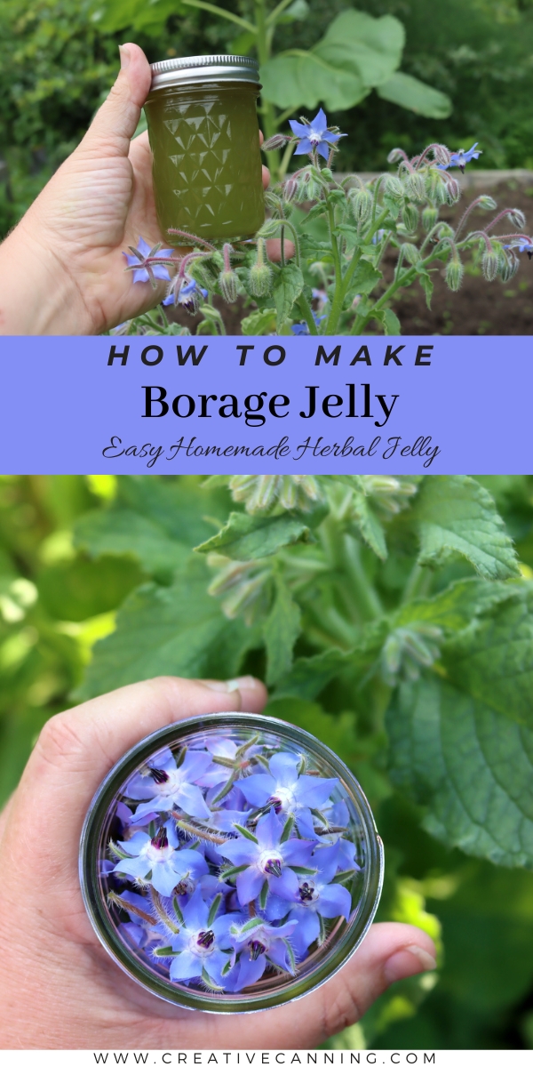Edible Borage Jelly Recipe