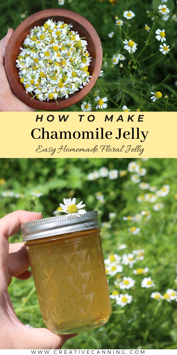 Edible Chamomile Jelly