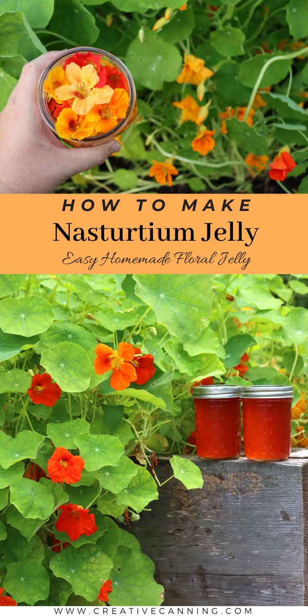 Edible Nasturtium Jelly Recipe