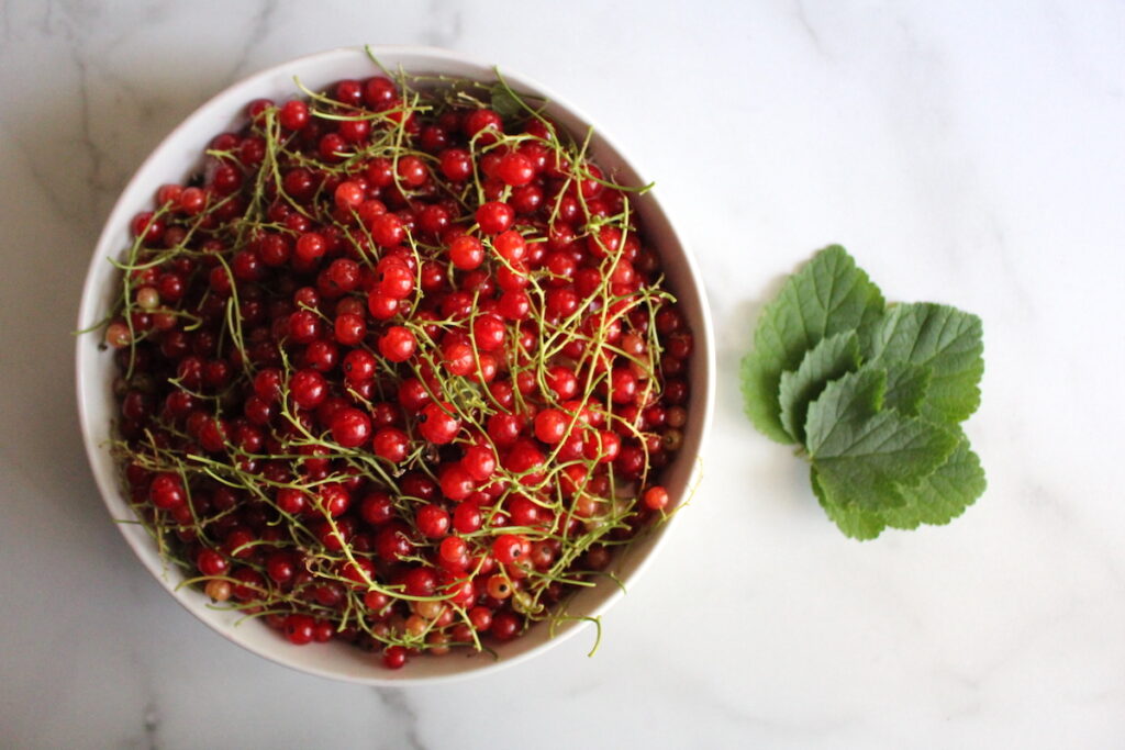 Red Currants