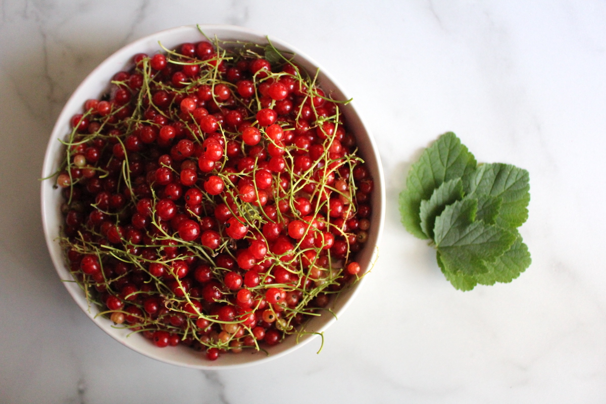 Red Currants