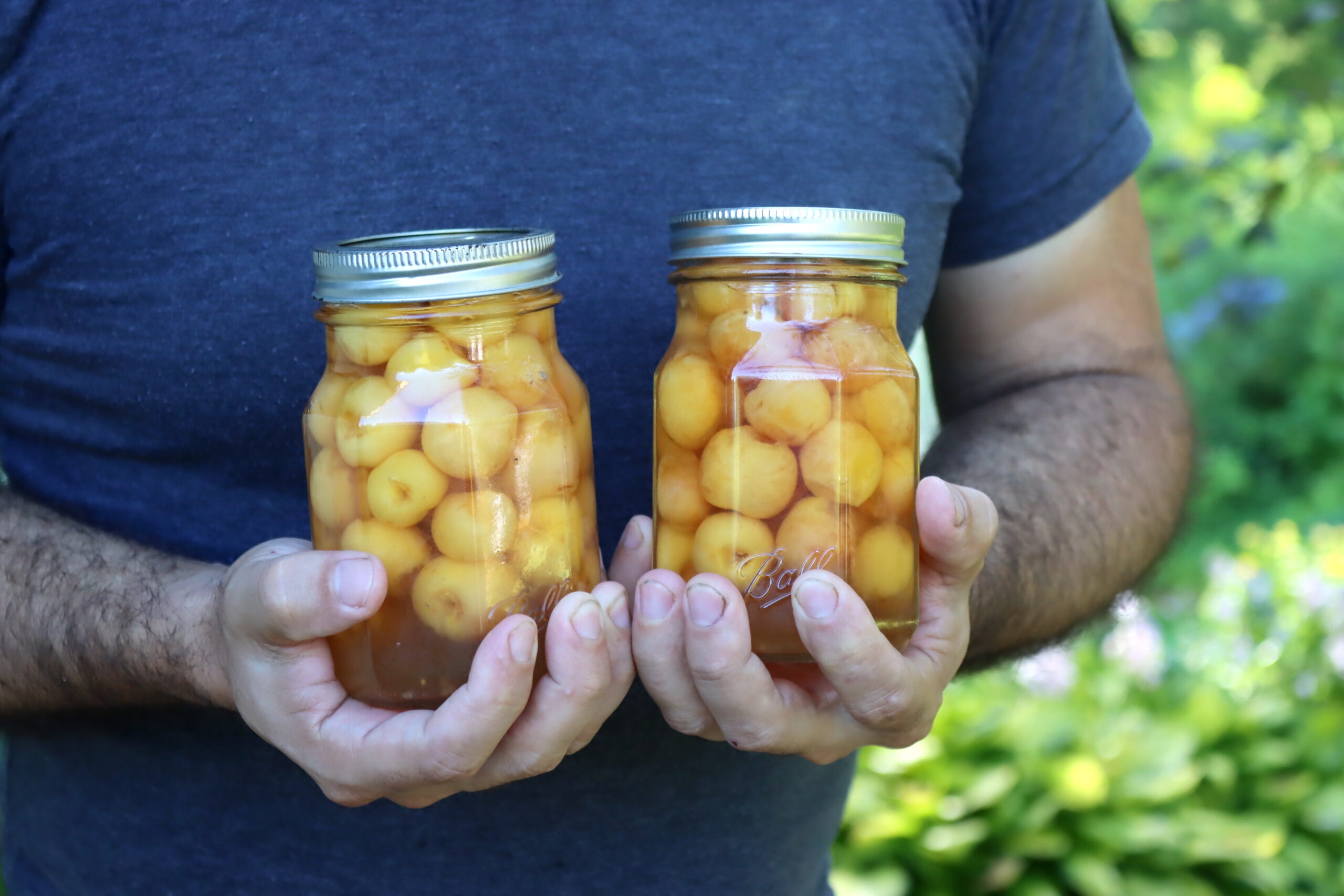 Canning Yellow Cherries