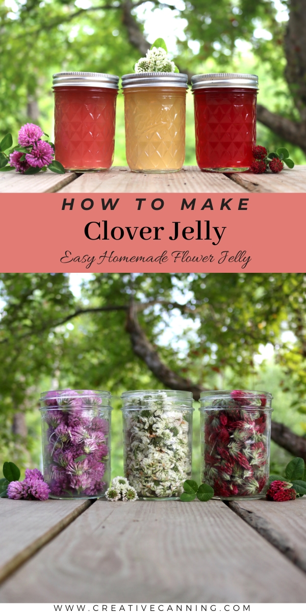 How to Make Clover Jelly