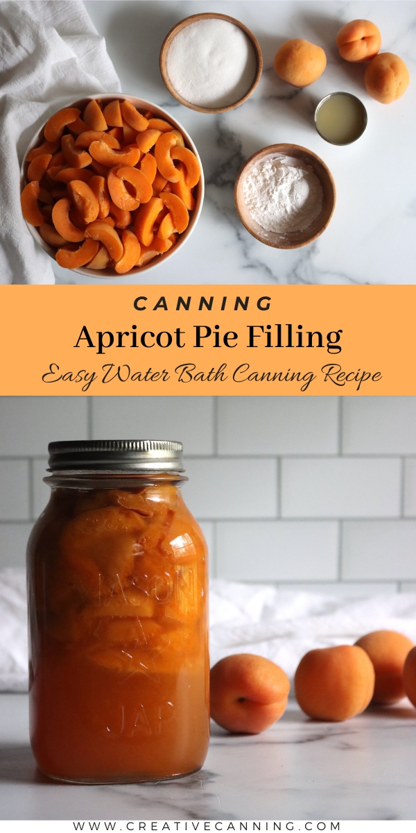 Canning recipe for apricot pie filling