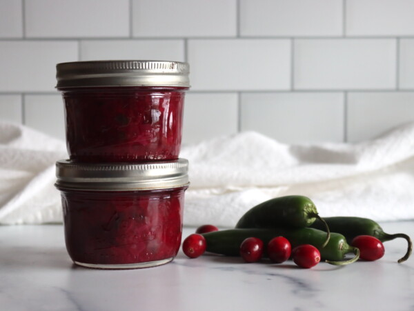 Cranberry Salsa