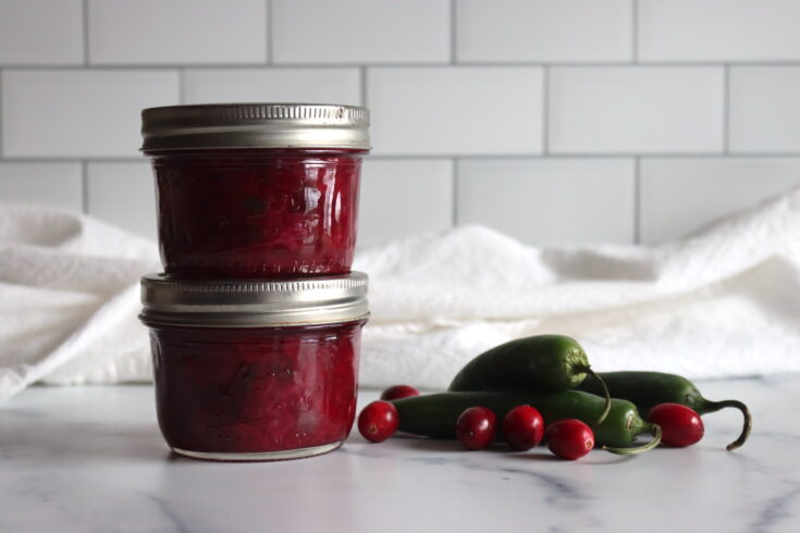 Cranberry Salsa