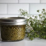 Pickled Green Cillantro Seed