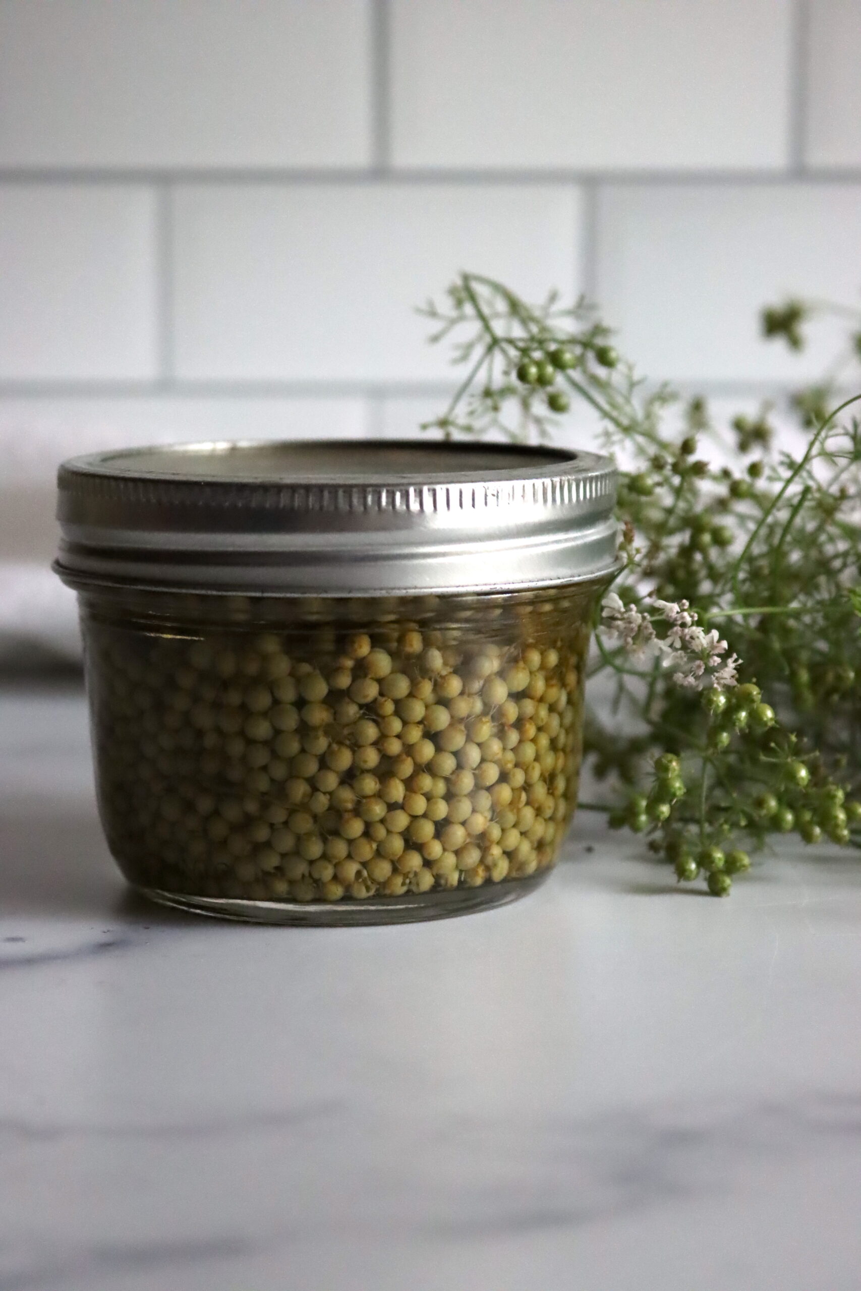 Pickled Green Cilantro Seed Recipe