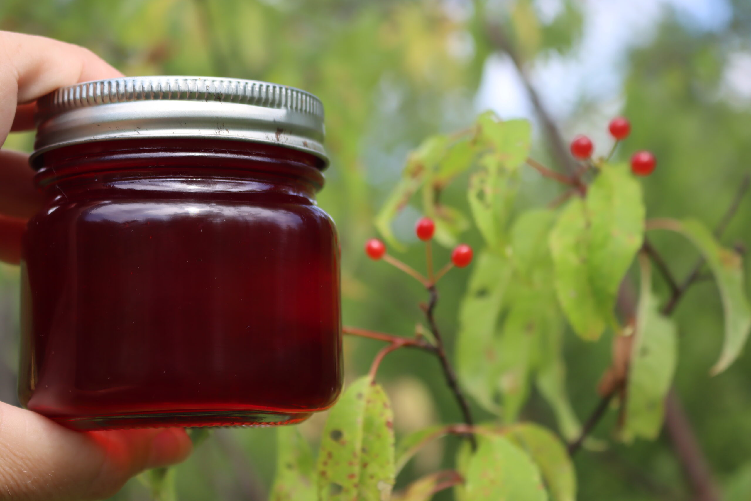 Pin Cherry Jelly