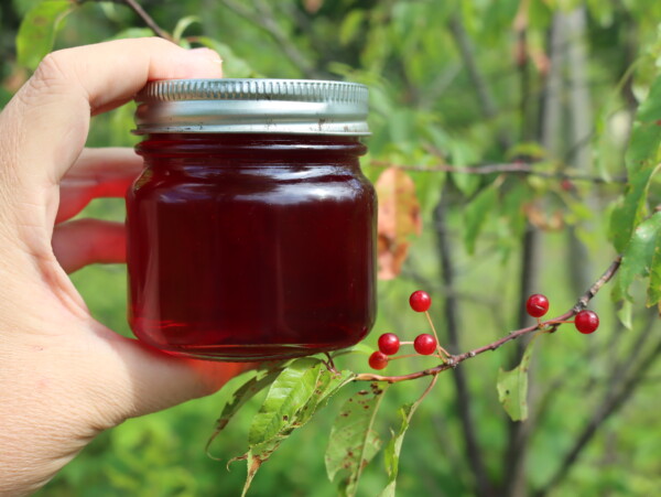 Pin Cherry Jelly