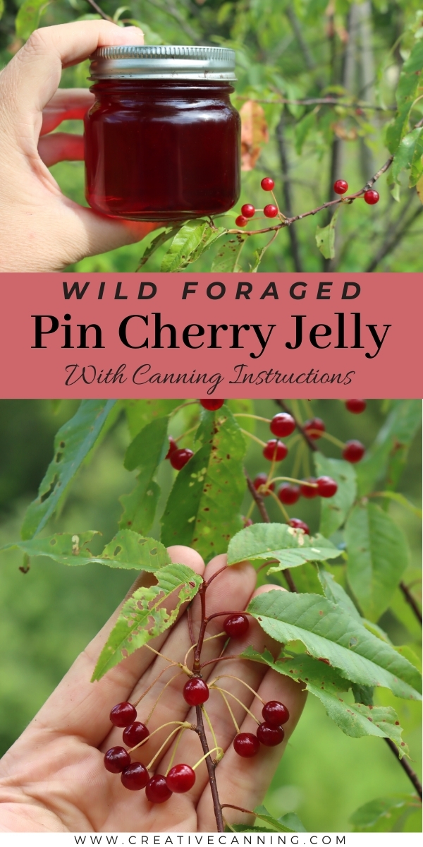 Pin Cherry Jelly Recipe