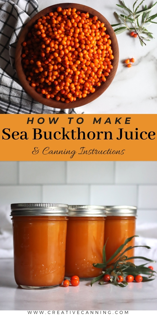 Sea Buckthorn Juice Recipe