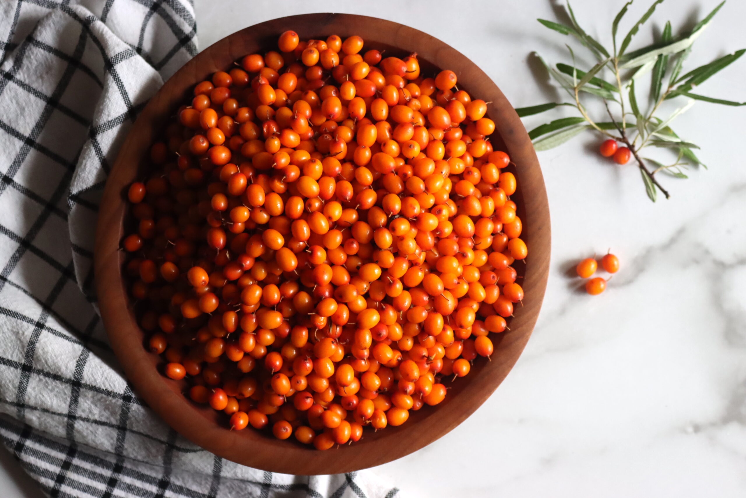 Seaberries or Sea Buckthorn