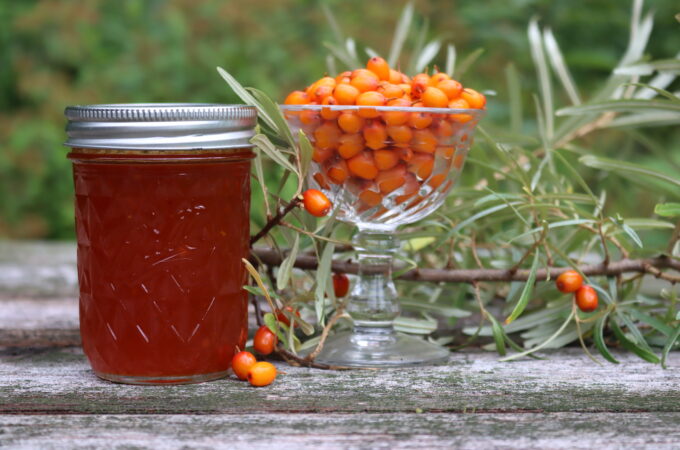 Sea Buckthorn Jam (& Jelly)