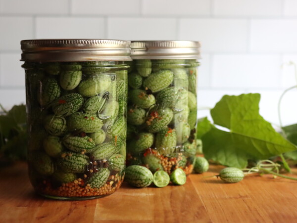 Cucamelon Pickles