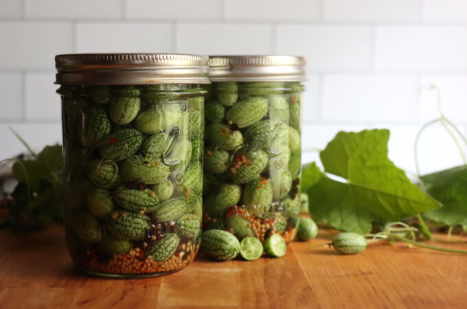 Cucamelon Pickles