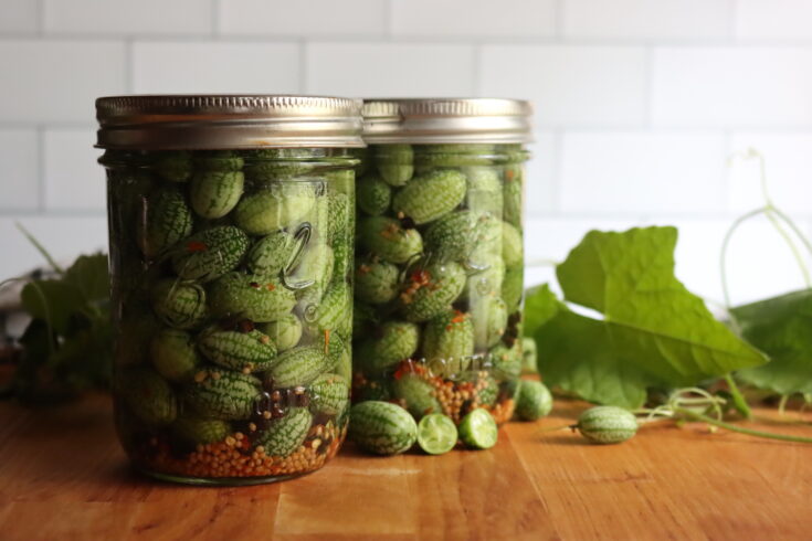 Cucamelon Pickles