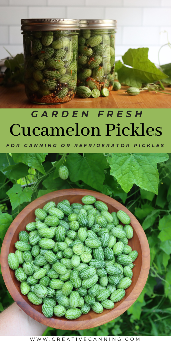 Cucamelon Pickles Recipe