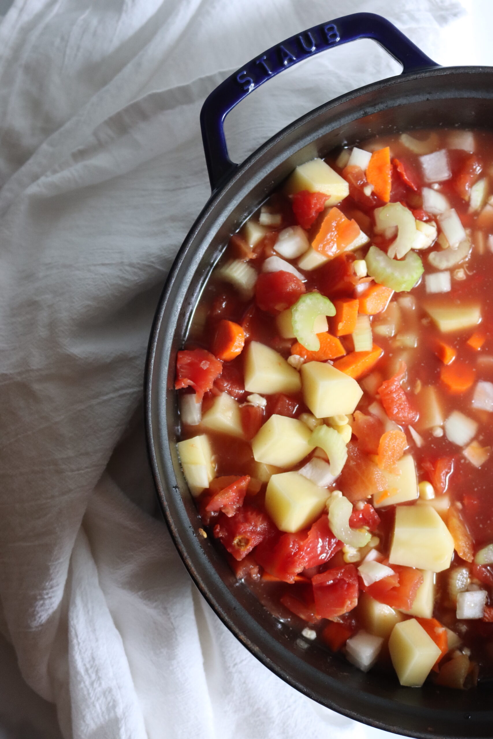 Making Vegetable Soup