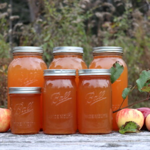 Canning Apple Cider