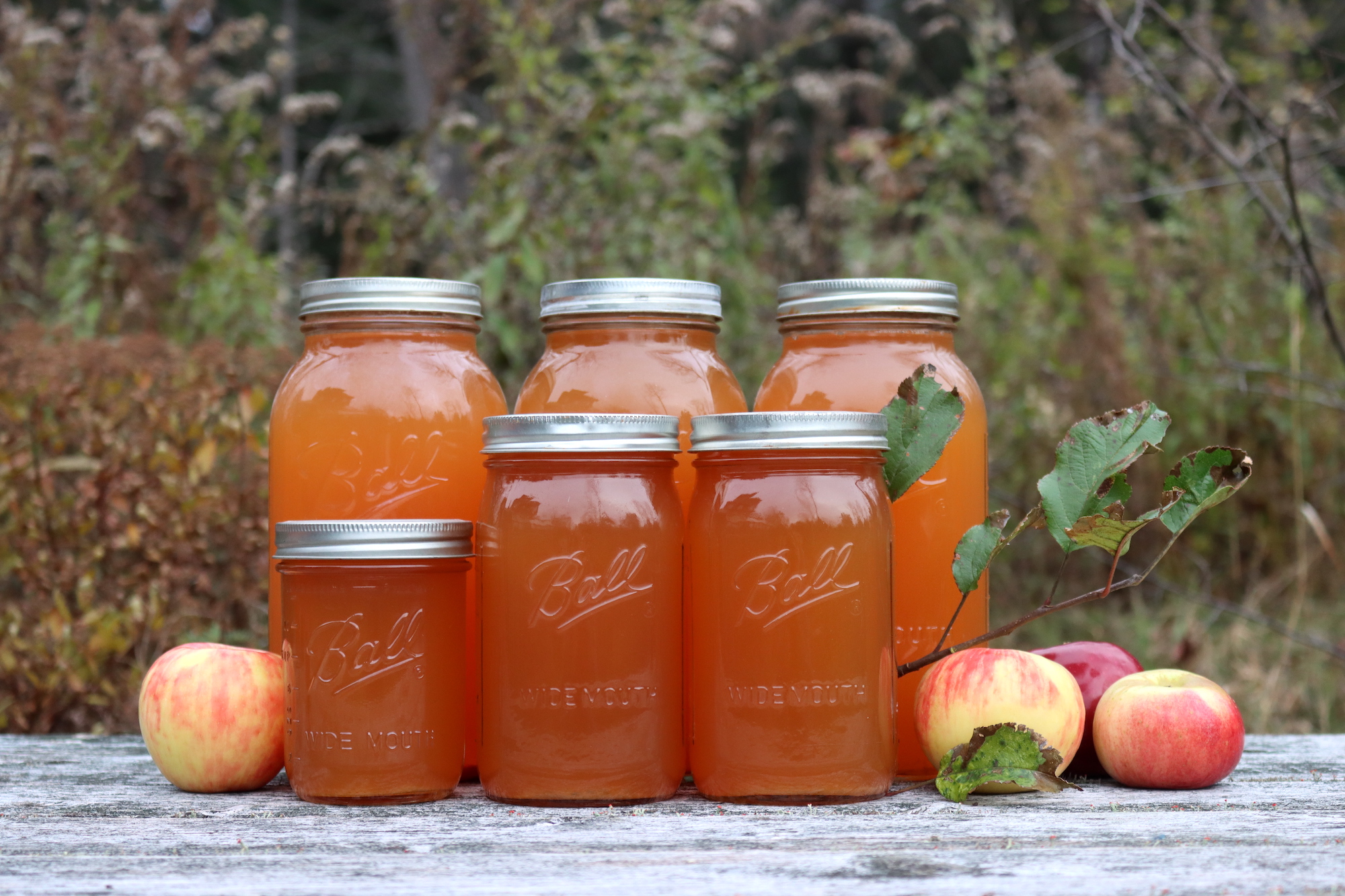 Canning Apple Cider