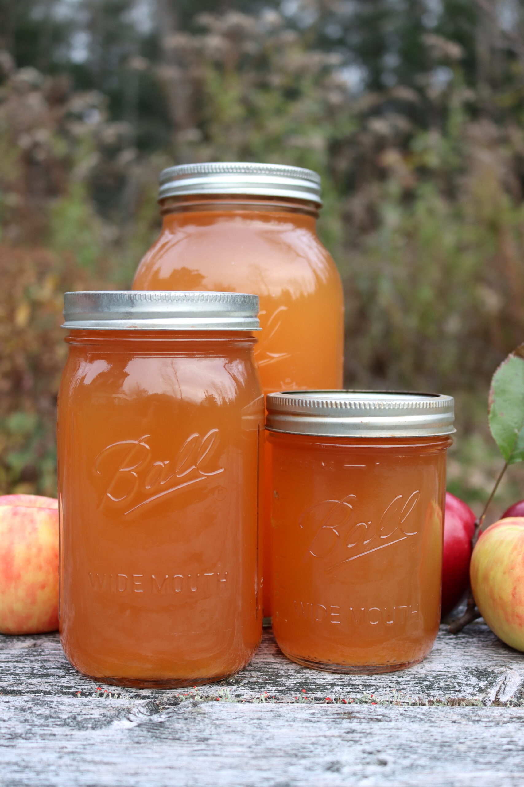 Canning Apple Cider