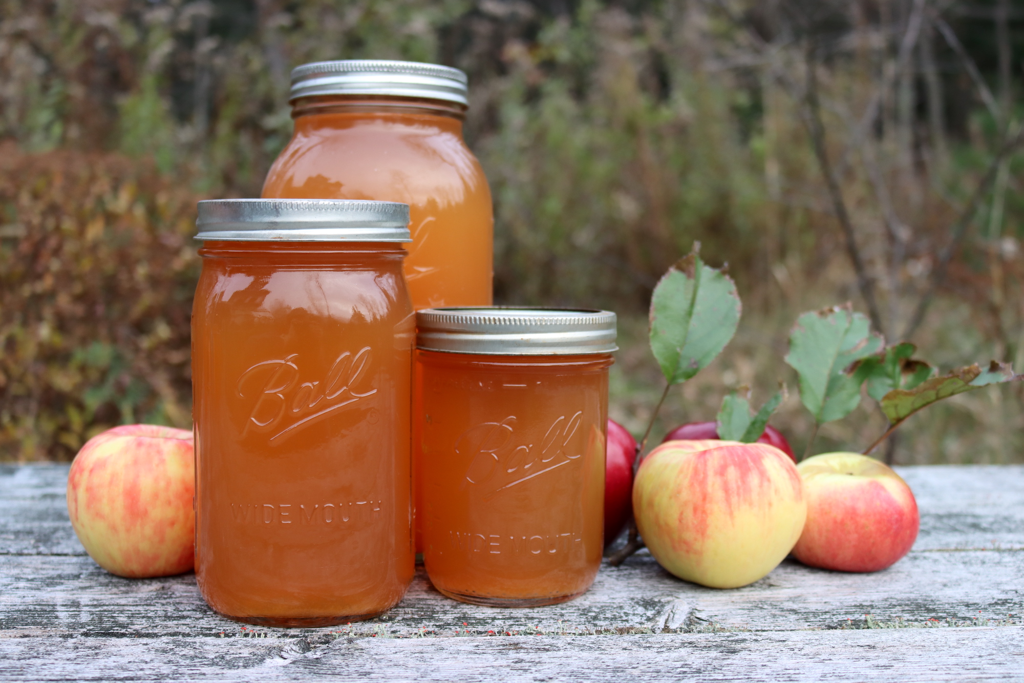 Canning Apple Cider