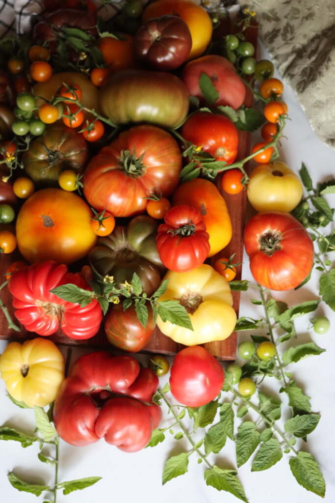 Heirloom Tomatoes for Canning