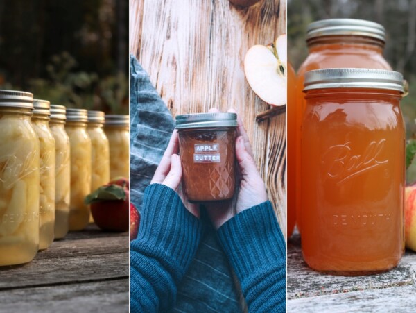 Recipes for Canning Apples