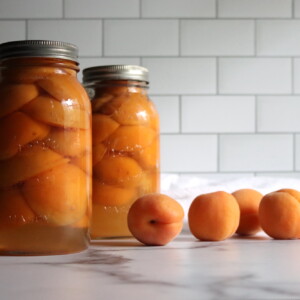 Canning Apricots