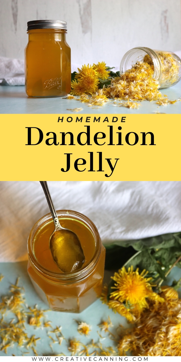 Dandelion Jelly Recipe