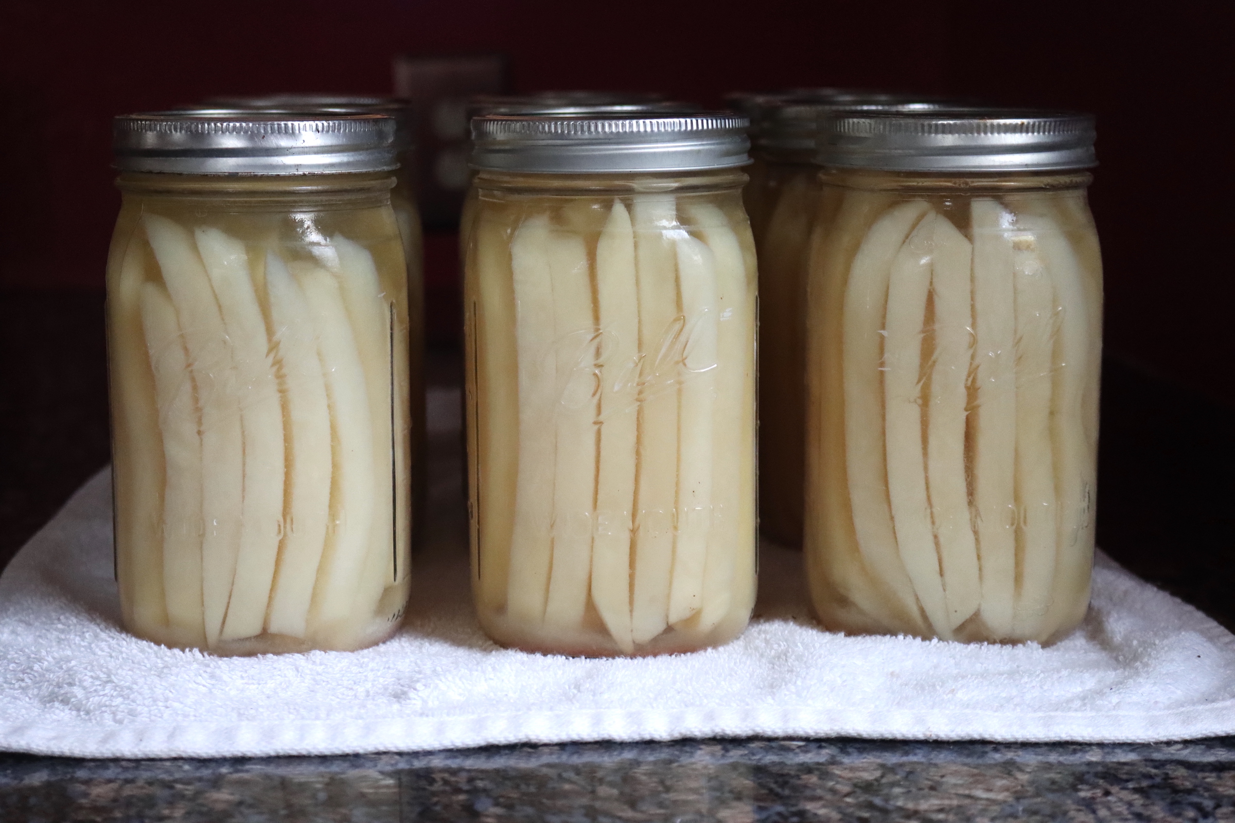 Canning French Fries-image