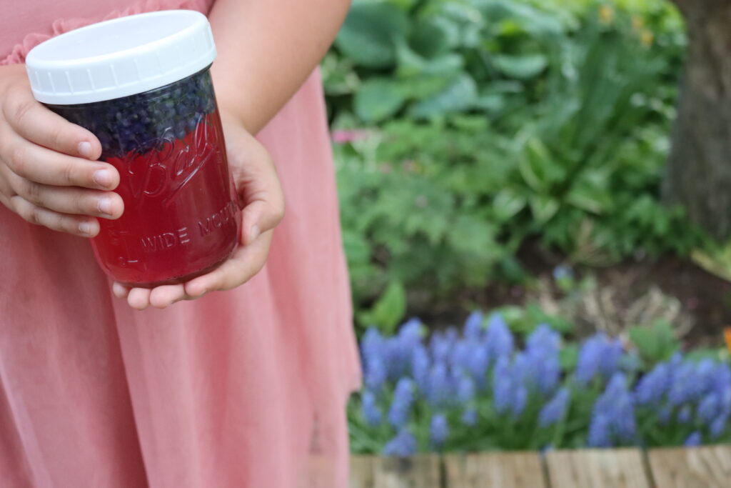 Grape Hyacinth Tea