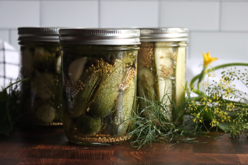 Classic Dill Pickles