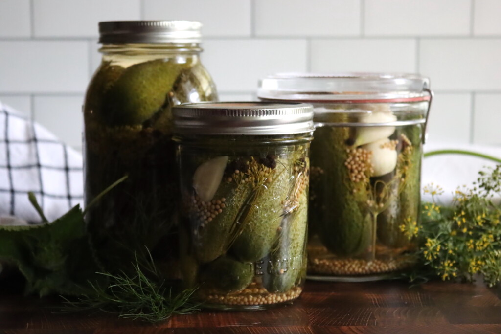 Cucumber Pickle Recipes