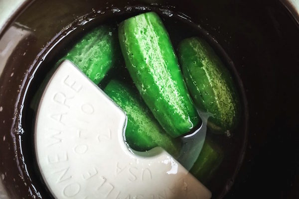 lacto-fermented-pickles-in-crock