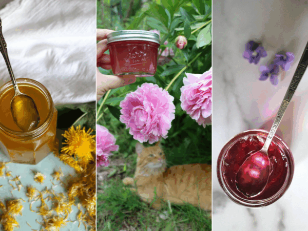 Canning Flower Jellies