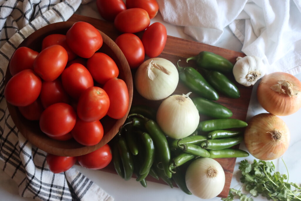 Hearty Tomato Salsa