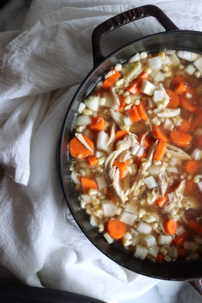 Making Chicken and Vegetable Soup