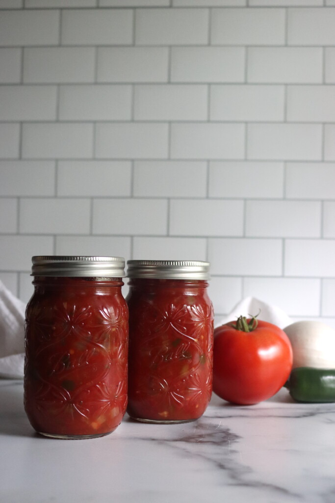 Salsa with Tomato Paste