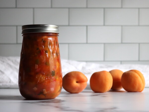 Apricot Salsa